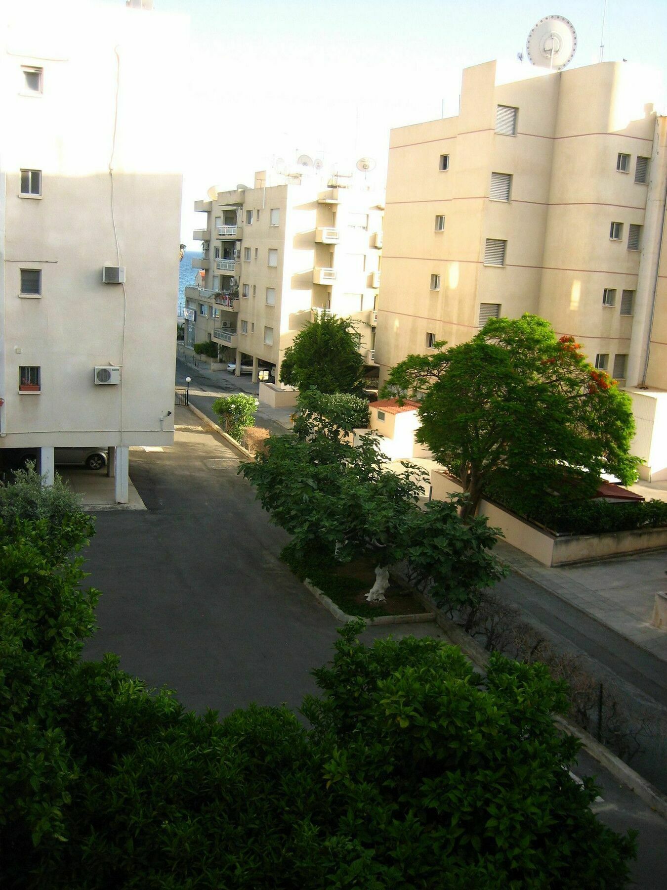Green Valley Modern Studio Limassol Exteriör bild